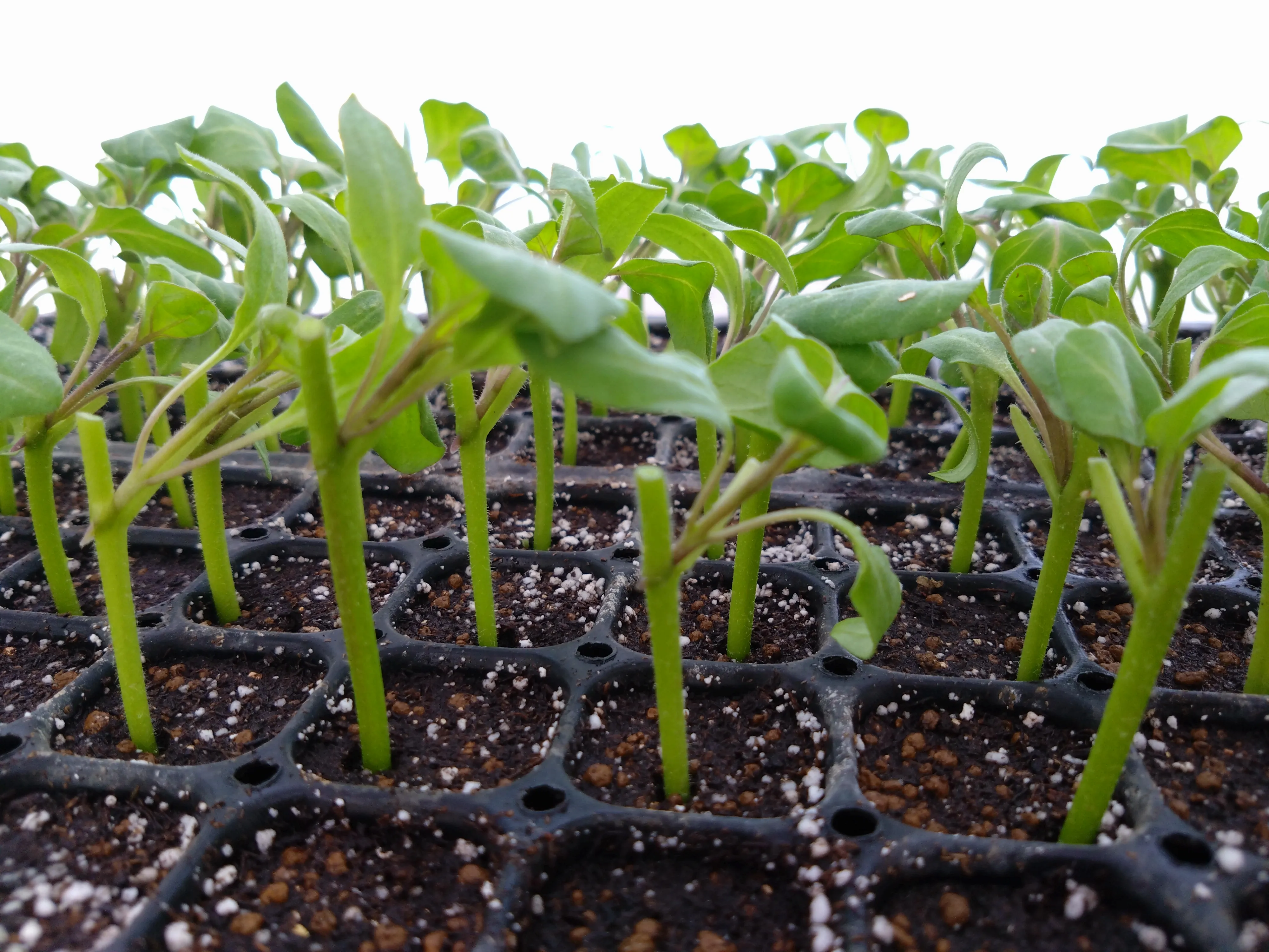 ギター加工の様子2